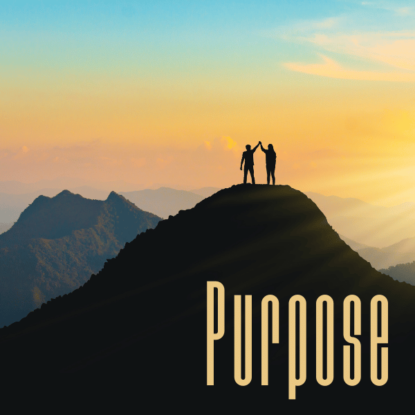 Purpose